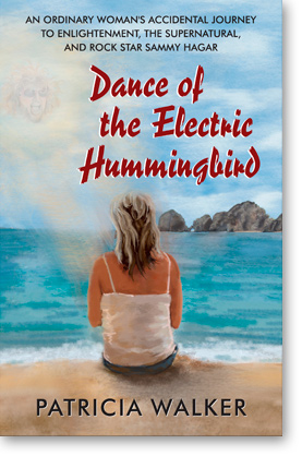 DANCE OF THE ELECTRIC HUMMINGBIRD